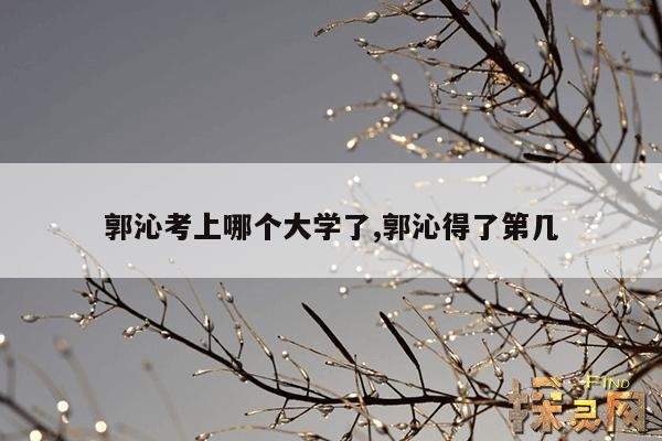 郭沁考上哪个大学了,郭沁考上什么大学