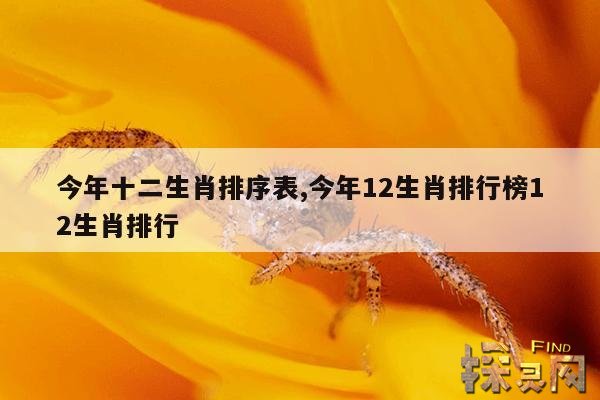 今年十二生肖排序表,2023年生肖49码图