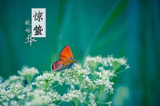 惊蛰当天吃什么,惊蛰当天吃什么菜