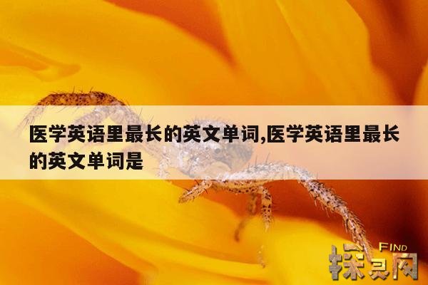 医学英语里最长的英文单词,医学英语里最长的英文单词是什么