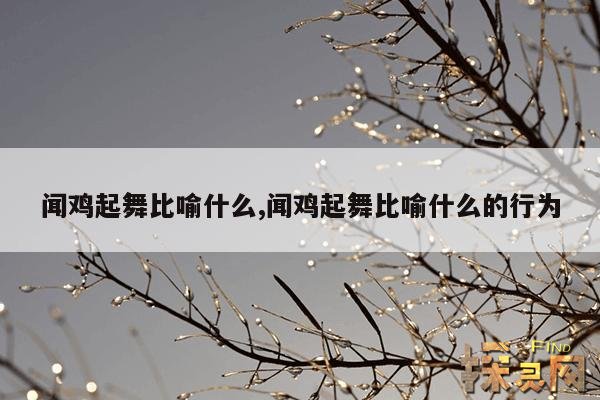 闻鸡起舞比喻什么,闻鸡起舞比喻什么样的人