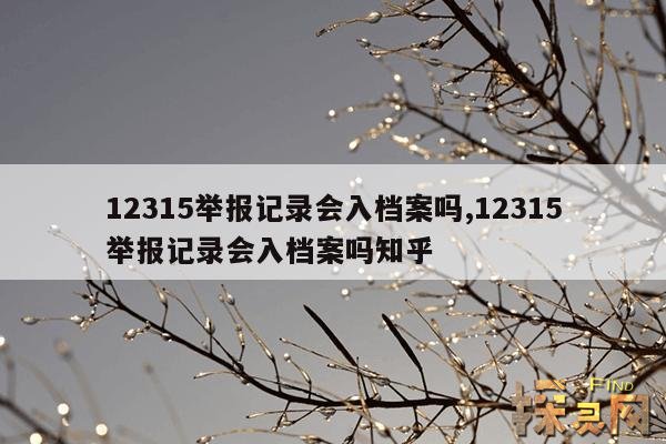 12315举报记录会入档案吗？,12315举报记录会入档案吗？安全吗？