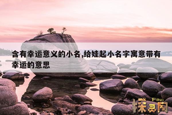 含有幸运意义的小名,皮实一点的小名