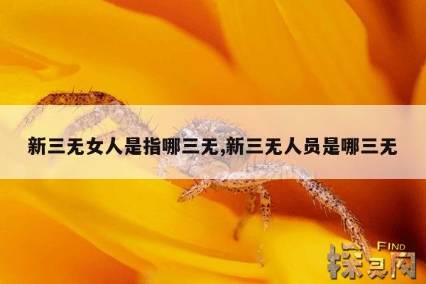 新三无女人是指哪三无,新三无人员是什么意思