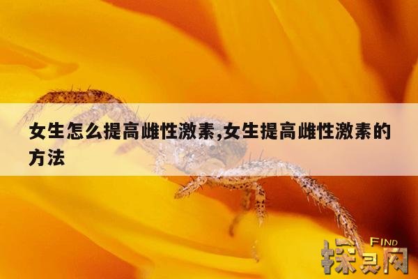 女生怎么提高雌性激素,女生提高雌性激素的方法有哪些