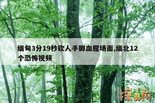 缅甸3分19秒砍人手脚血腥场面,缅甸3分19秒砍人手脚血腥场面在哪里看