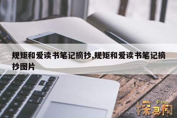 规矩和爱读书笔记摘抄,规矩和爱的读后感