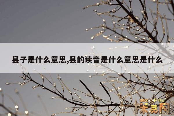 县子是什么意思,县这个字念什么