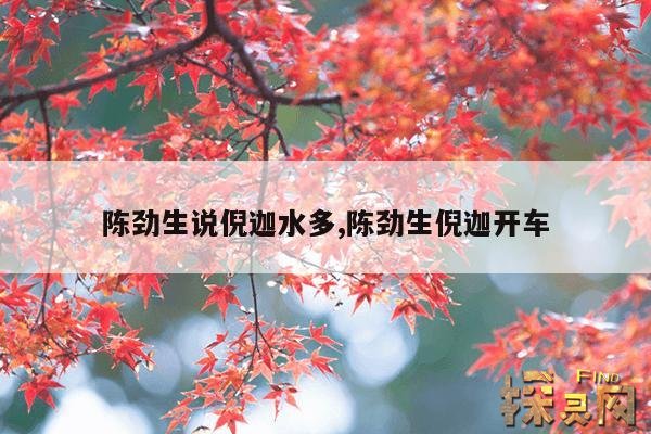 陈劲生说倪迦水多,陈劲生说倪迦水多音频