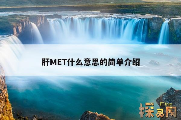 肝MET什么意思的简单介绍,肝mt是什么意思