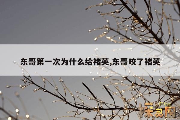 东哥第一次为什么给褚英,东哥喜欢褚英吗？