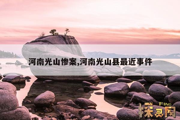 河南光山惨案,河南光山命案