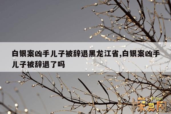 白银案凶手儿子被辞退黑龙江省,白银案 儿子