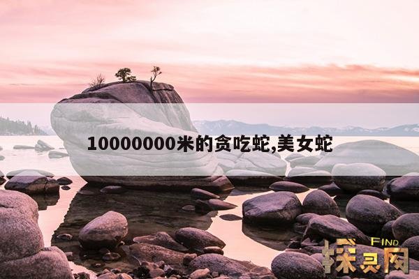 10000000米的贪吃蛇,10000000米的贪吃蛇游戏