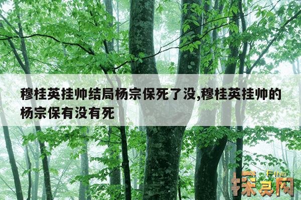 穆桂英挂帅结局杨宗保死了没,穆桂英挂帅杨宗保受伤第几集