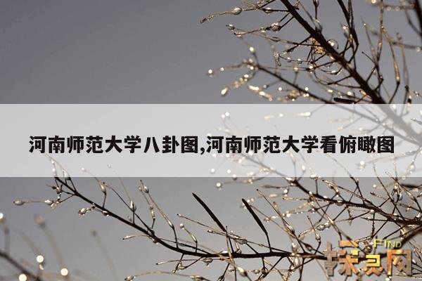 河南师范大学八卦图,河南师范大学看俯瞰图