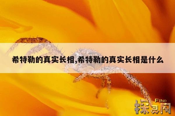 希特勒的真实长相,希特勒的真实长相是什么