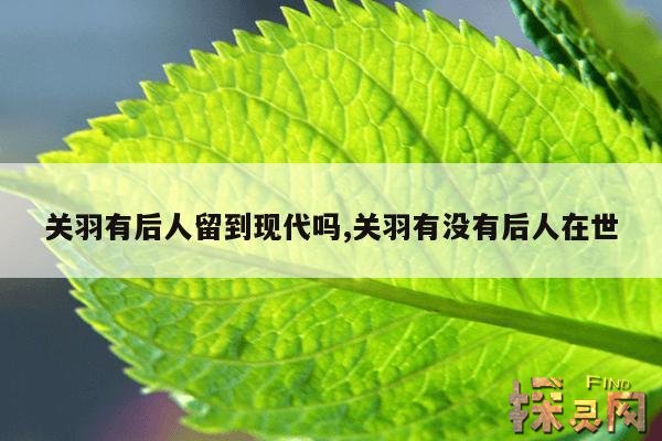 关羽有后人留到现代吗？,关羽的刀还在吗？