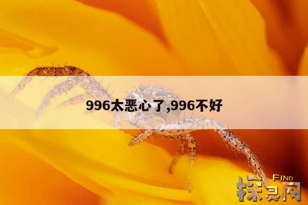 996太恶心了,996坑人