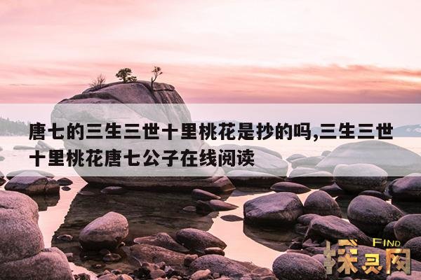 唐七的三生三世十里桃花是抄的吗？,《三生三世,十里桃花》 作者:唐七公子