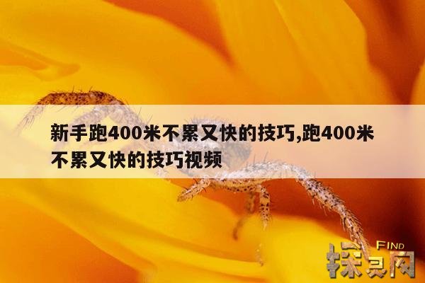 新手跑400米不累又快的技巧,400米怎么跑得最快