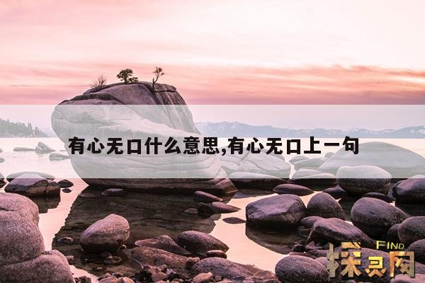 有心无口什么意思,有心无口什么意思解释