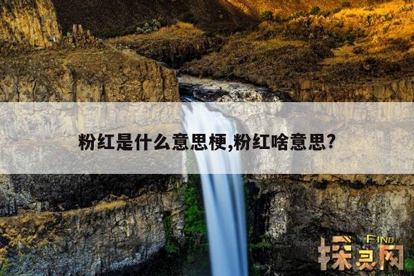 粉红是什么意思梗,粉红啥意思？