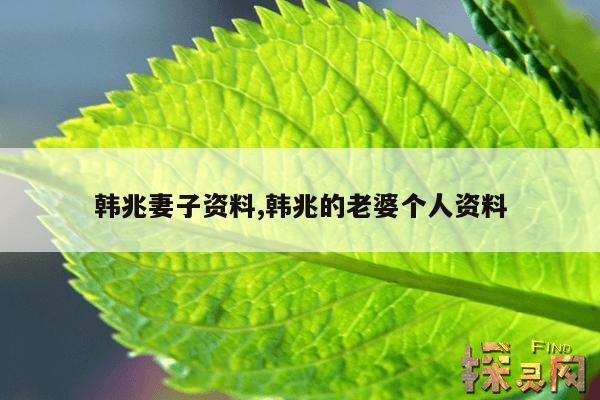 韩兆妻子资料,韩兆老婆简介