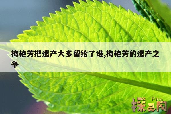 梅艳芳把遗产大多留给了谁,梅艳芳留下了多少遗产