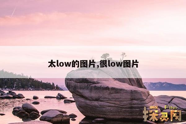 太low的图片,太low照片