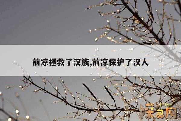 前凉拯救了汉族,前凉是被谁灭的