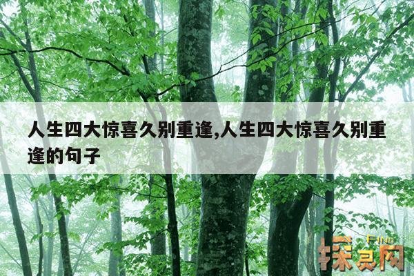 人生四大惊喜久别重逢,四大喜事久别重逢