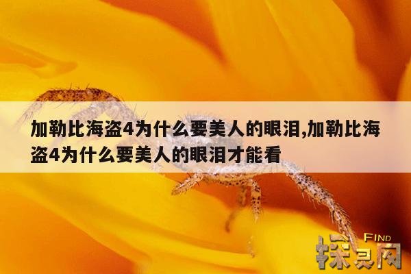 加勒比海盗4为什么要美人的眼泪,加勒比海盗4美人鱼的眼泪为什么这么难取