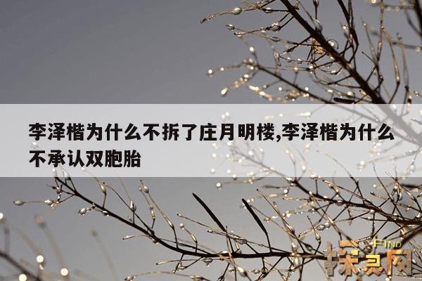 李泽楷为什么不拆了庄月明楼,李嘉欣一辈子真的命太好了