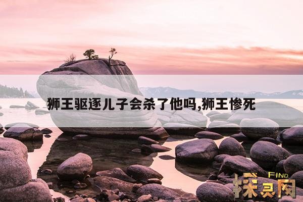 狮王驱逐儿子会杀了他吗？,狮王被赶走