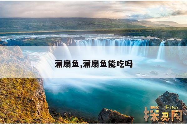 蒲扇鱼,蒲扇鱼能吃吗