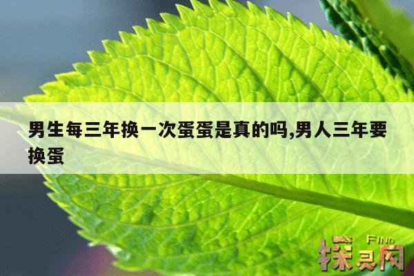 男生每三年换一次蛋蛋是真的吗？,男生每几年换一次蛋