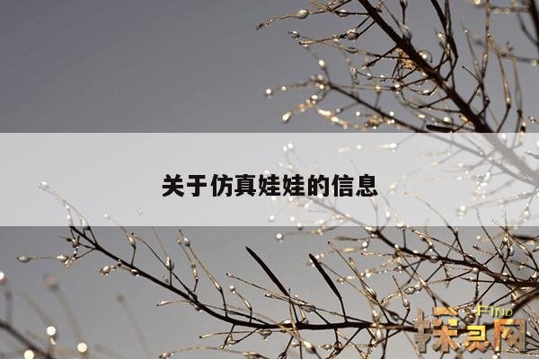 关于仿真娃娃的信息,仿真的娃娃叫什么