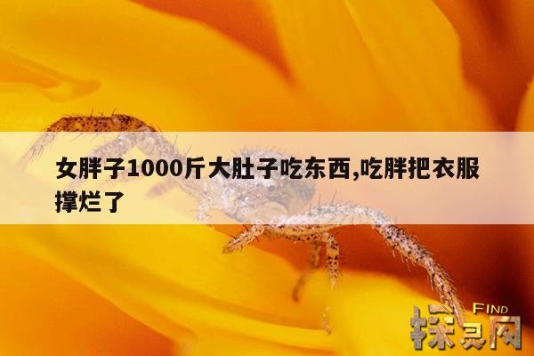 女胖子1000斤大肚子吃东西,女胖子1000斤大肚子吃东西疼