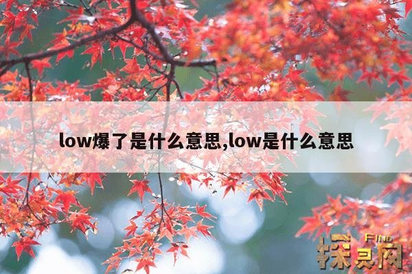 low爆了是什么意思,low爆了的英文