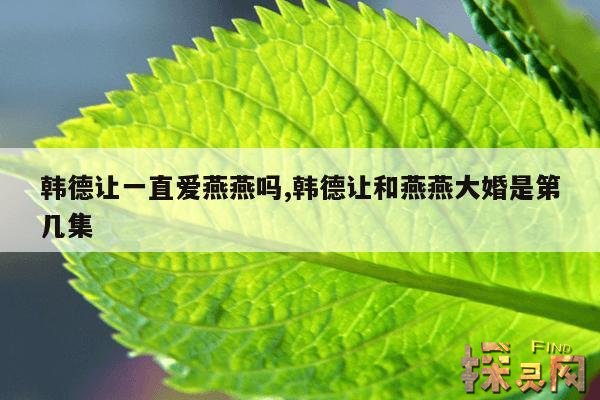 韩德让一直爱燕燕吗？,韩德让和燕燕互相表白