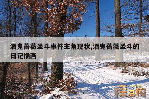 酒鬼蔷薇圣斗事件主角现状,酒鬼蔷薇圣斗的日记插画