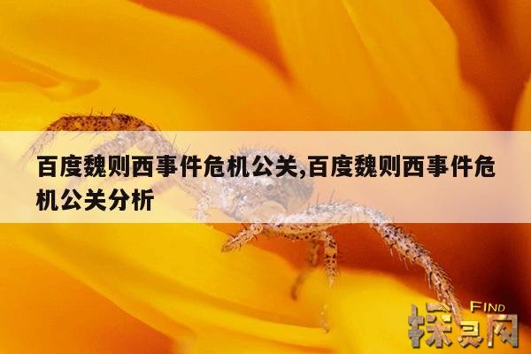 百度魏则西事件危机公关,百度魏则西事件案例分析答案