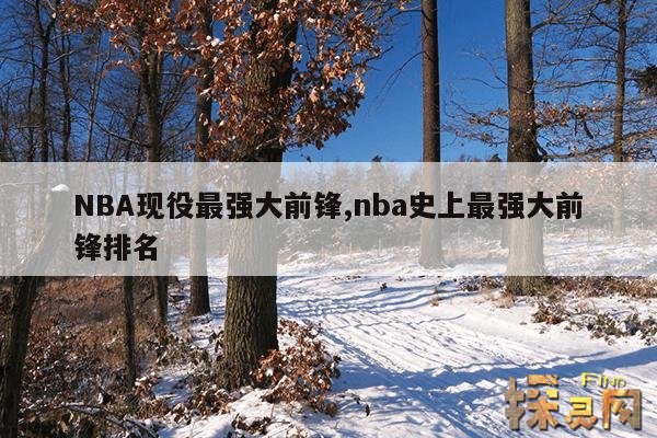 NBA现役最强大前锋,nba现役最强大前锋是谁