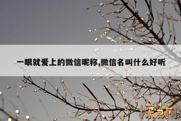 一眼就爱上的微信昵称,一眼就爱上的微信昵称伤感女