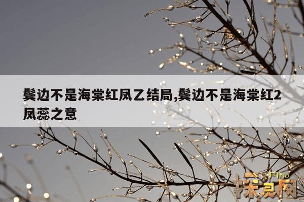 鬓边不是海棠红凤乙结局,鬓边不是海棠红里凤乙是谁