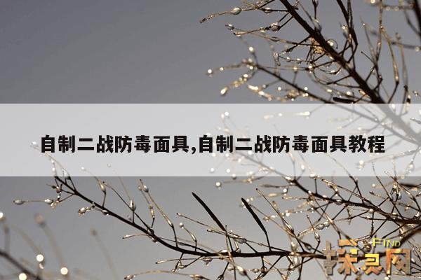 自制二战防毒面具,怎么自己做防毒面具