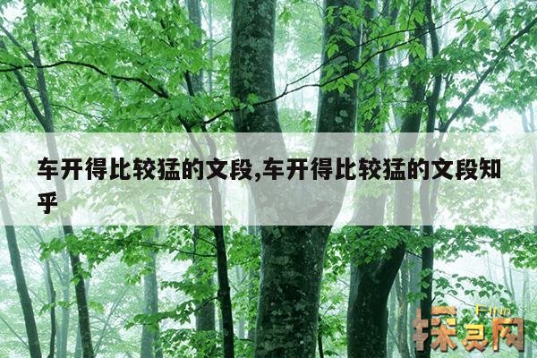 车开得比较猛的文段,车开得比较猛的文段魔道祖师