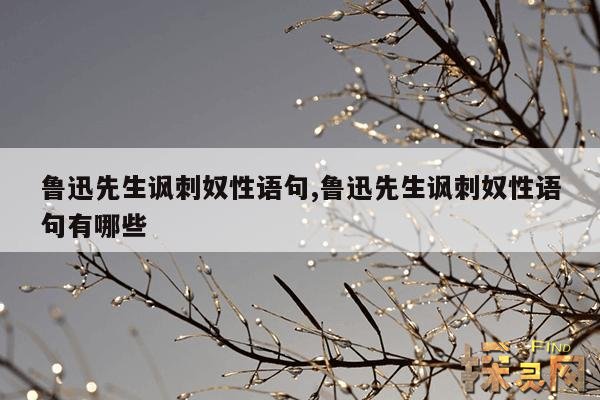 鲁迅先生讽刺奴性语句,鲁迅先生讽刺奴才