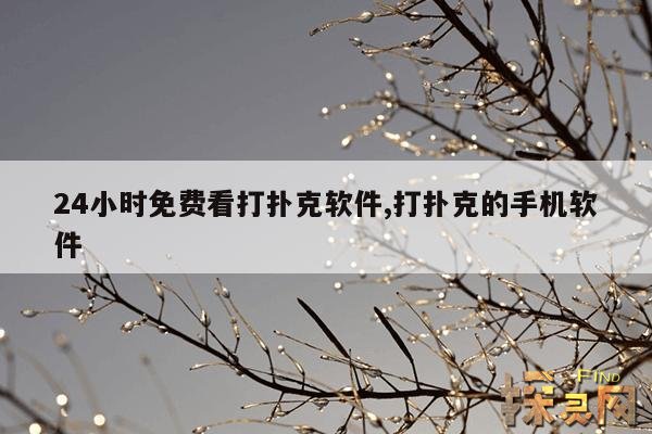 24小时免费看打扑克软件,可以看打扑克的软件